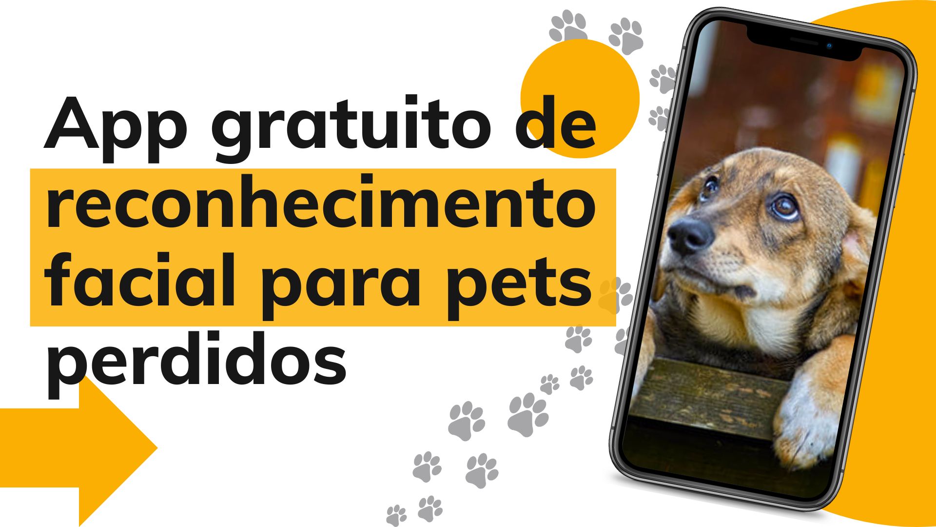 App gratuito de reconhecimento facial para pets perdidos?